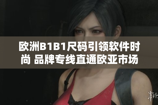 欧洲B1B1尺码引领软件时尚 品牌专线直通欧亚市场