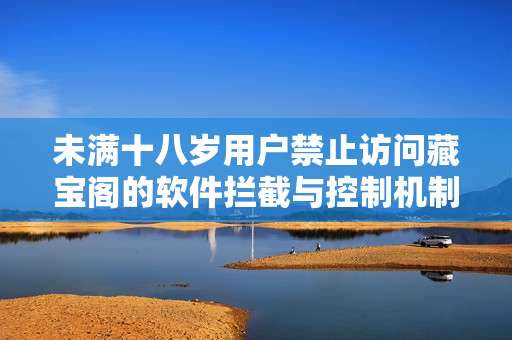 未满十八岁用户禁止访问藏宝阁的软件拦截与控制机制