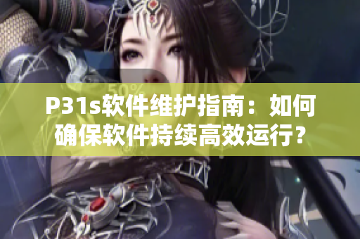 P31s软件维护指南：如何确保软件持续高效运行？