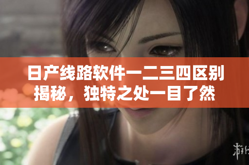 日产线路软件一二三四区别揭秘，独特之处一目了然