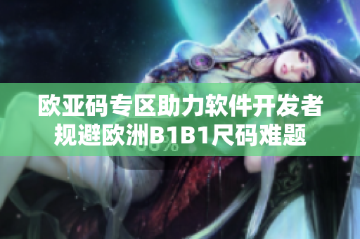 欧亚码专区助力软件开发者规避欧洲B1B1尺码难题