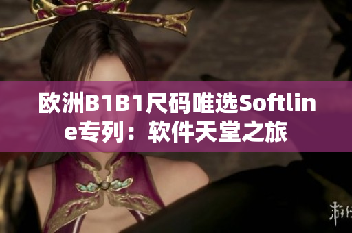 欧洲B1B1尺码唯选Softline专列：软件天堂之旅