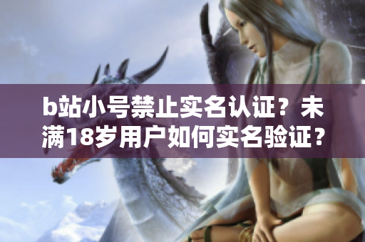 b站小号禁止实名认证？未满18岁用户如何实名验证？软件操作详解