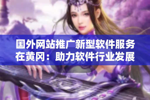 国外网站推广新型软件服务在黄冈：助力软件行业发展