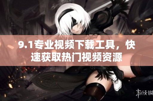 9.1专业视频下载工具，快速获取热门视频资源
