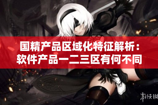 国精产品区域化特征解析：软件产品一二三区有何不同