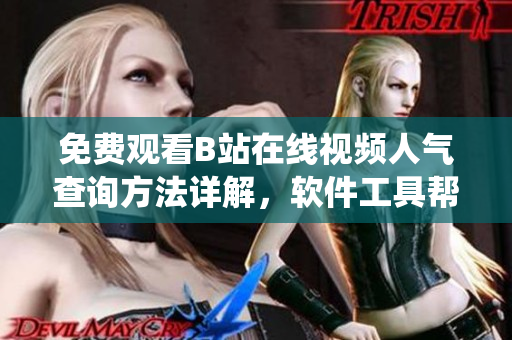 免费观看B站在线视频人气查询方法详解，软件工具帮你实时统计观看数据