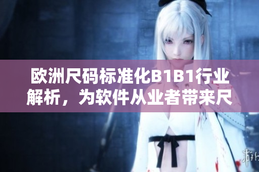 欧洲尺码标准化B1B1行业解析，为软件从业者带来尺码专线最新动态