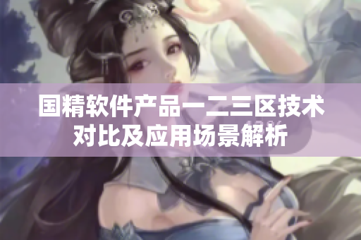 国精软件产品一二三区技术对比及应用场景解析