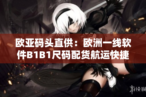 欧亚码头直供：欧洲一线软件B1B1尺码配货航运快捷