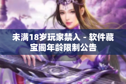 未满18岁玩家禁入 - 软件藏宝阁年龄限制公告
