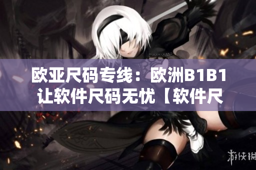 欧亚尺码专线：欧洲B1B1 让软件尺码无忧【软件尺码】