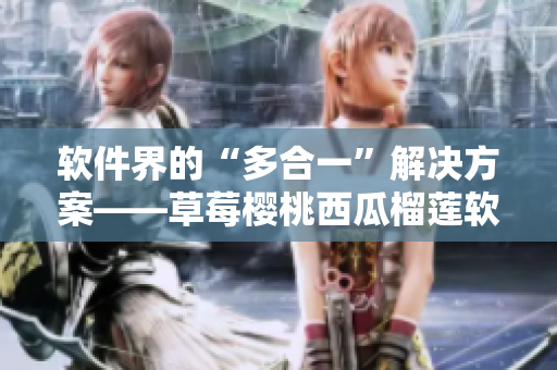 软件界的“多合一”解决方案——草莓樱桃西瓜榴莲软件通用打包盒