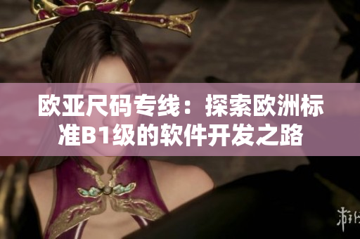 欧亚尺码专线：探索欧洲标准B1级的软件开发之路