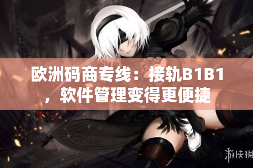 欧洲码商专线：接轨B1B1，软件管理变得更便捷