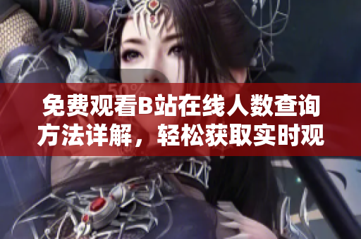 免费观看B站在线人数查询方法详解，轻松获取实时观看数据