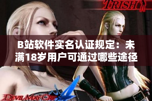 B站软件实名认证规定：未满18岁用户可通过哪些途径进行验证？