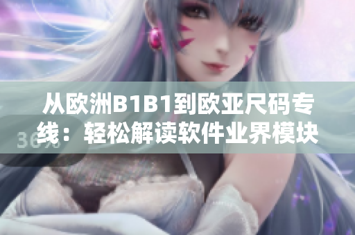 从欧洲B1B1到欧亚尺码专线：轻松解读软件业界模块化开发初探