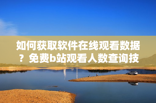 如何获取软件在线观看数据？免费b站观看人数查询技巧分享