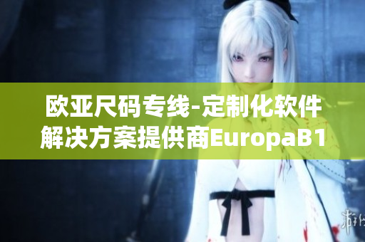 欧亚尺码专线-定制化软件解决方案提供商EuropaB1B1