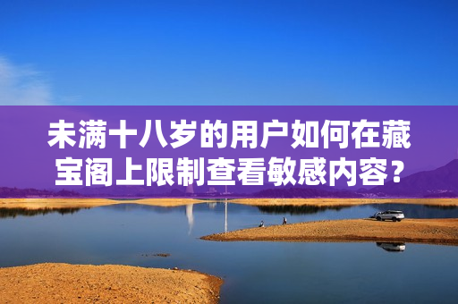 未满十八岁的用户如何在藏宝阁上限制查看敏感内容？