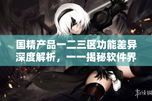 国精产品一二三区功能差异深度解析，一一揭秘软件界热门产品特点