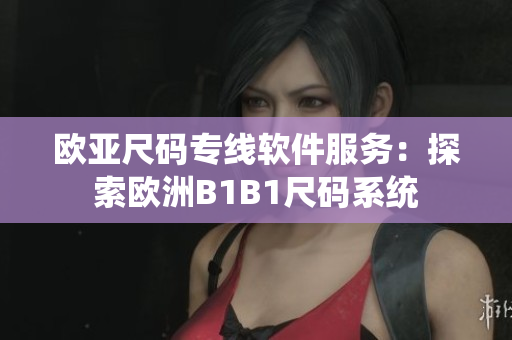 欧亚尺码专线软件服务：探索欧洲B1B1尺码系统