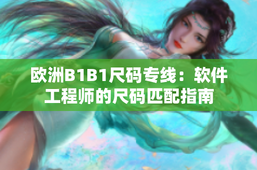 欧洲B1B1尺码专线：软件工程师的尺码匹配指南