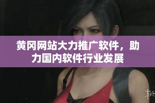 黄冈网站大力推广软件，助力国内软件行业发展