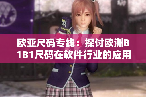 欧亚尺码专线：探讨欧洲B1B1尺码在软件行业的应用领域