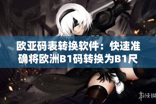 欧亚码表转换软件：快速准确将欧洲B1码转换为B1尺寸