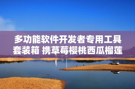多功能软件开发者专用工具套装箱 携草莓樱桃西瓜榴莲笔记功能