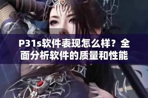 P31s软件表现怎么样？全面分析软件的质量和性能