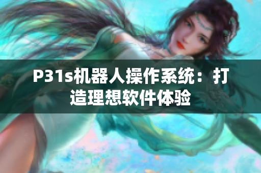 P31s机器人操作系统：打造理想软件体验