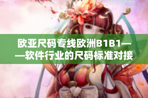 欧亚尺码专线欧洲B1B1——软件行业的尺码标准对接与合作解读