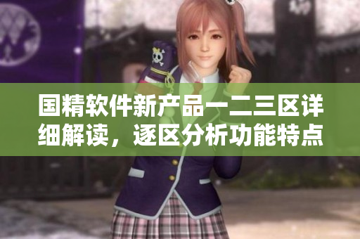 国精软件新产品一二三区详细解读，逐区分析功能特点