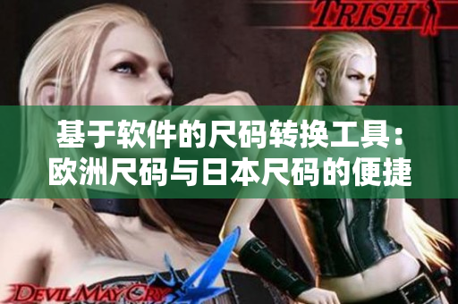 基于软件的尺码转换工具：欧洲尺码与日本尺码的便捷转化