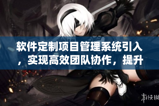 软件定制项目管理系统引入，实现高效团队协作，提升开发效率