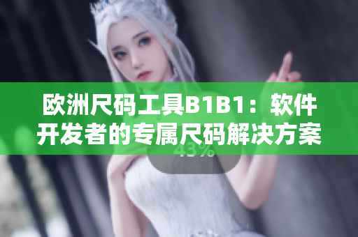 欧洲尺码工具B1B1：软件开发者的专属尺码解决方案