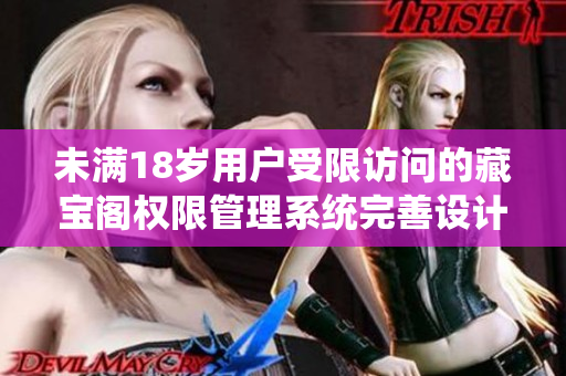 未满18岁用户受限访问的藏宝阁权限管理系统完善设计
