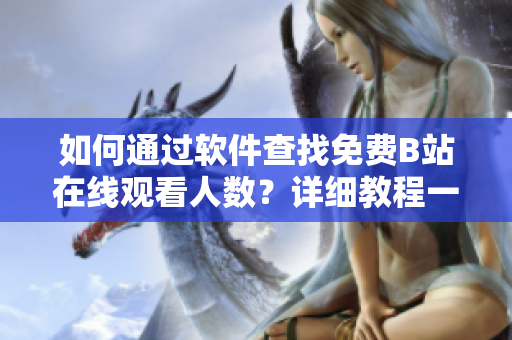 如何通过软件查找免费B站在线观看人数？详细教程一网打尽