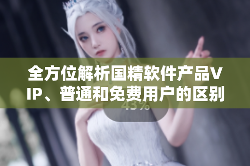 全方位解析国精软件产品VIP、普通和免费用户的区别
