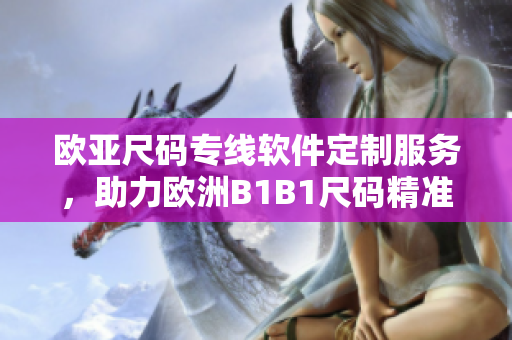 欧亚尺码专线软件定制服务，助力欧洲B1B1尺码精准管理