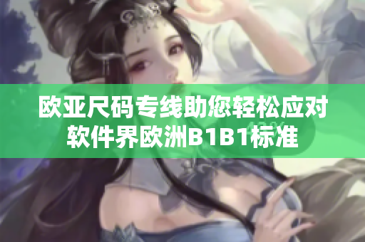 欧亚尺码专线助您轻松应对软件界欧洲B1B1标准