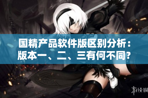 国精产品软件版区别分析：版本一、二、三有何不同？