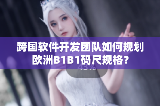 跨国软件开发团队如何规划欧洲B1B1码尺规格？