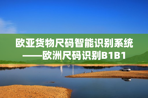 欧亚货物尺码智能识别系统——欧洲尺码识别B1B1