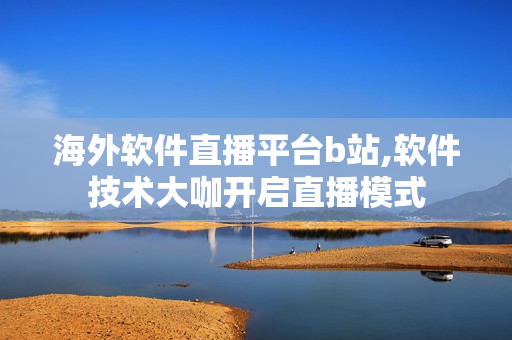 海外软件直播平台b站,软件技术大咖开启直播模式