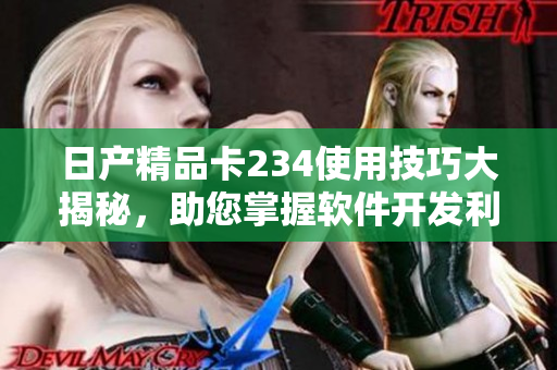 日产精品卡234使用技巧大揭秘，助您掌握软件开发利器