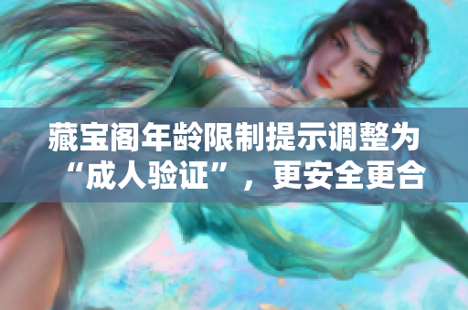 藏宝阁年龄限制提示调整为“成人验证”，更安全更合规 